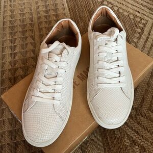 NIB Steve Madden Cantorr, white snake sneakers size 10